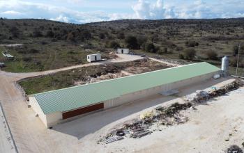 Poultry, entirely built by our company.